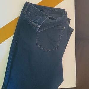 Lane Bryant jeans 22 long #36